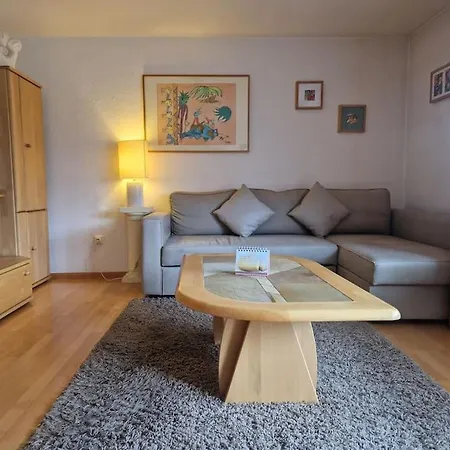 Schoene Mit Terrasse Nahe Schweizer Grenze Appartement