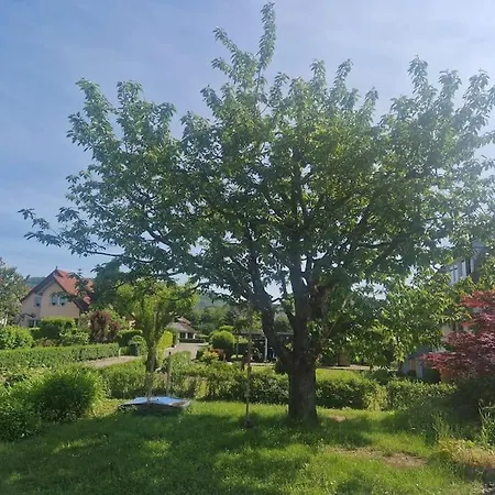 Schöne Mit Terrasse Nahe Schweizer Grenze