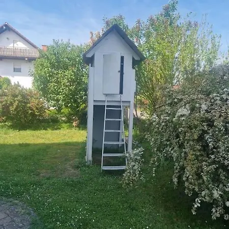 Schoene Mit Terrasse Nahe Schweizer Grenze Appartement